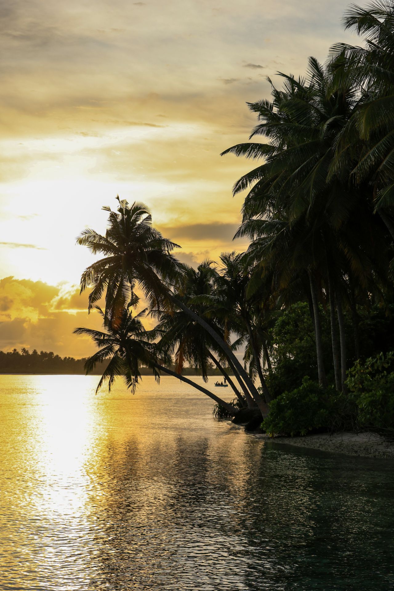 ކިނބިދޫގެ ނަލަކަން ފޮޓޯތަކުން