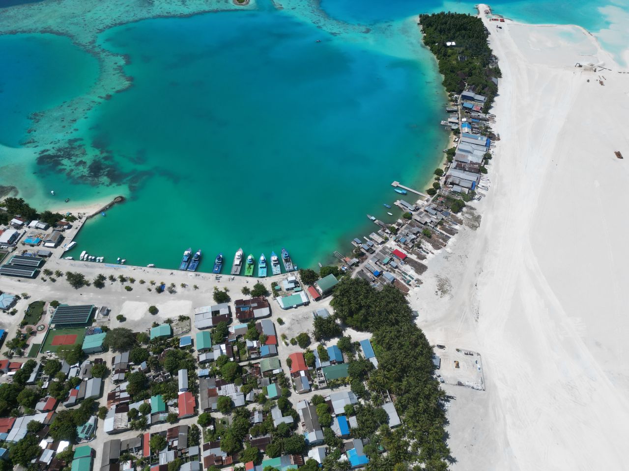 ހިރިލަންދޫގެ ސާދާ ދިރިއުޅުން