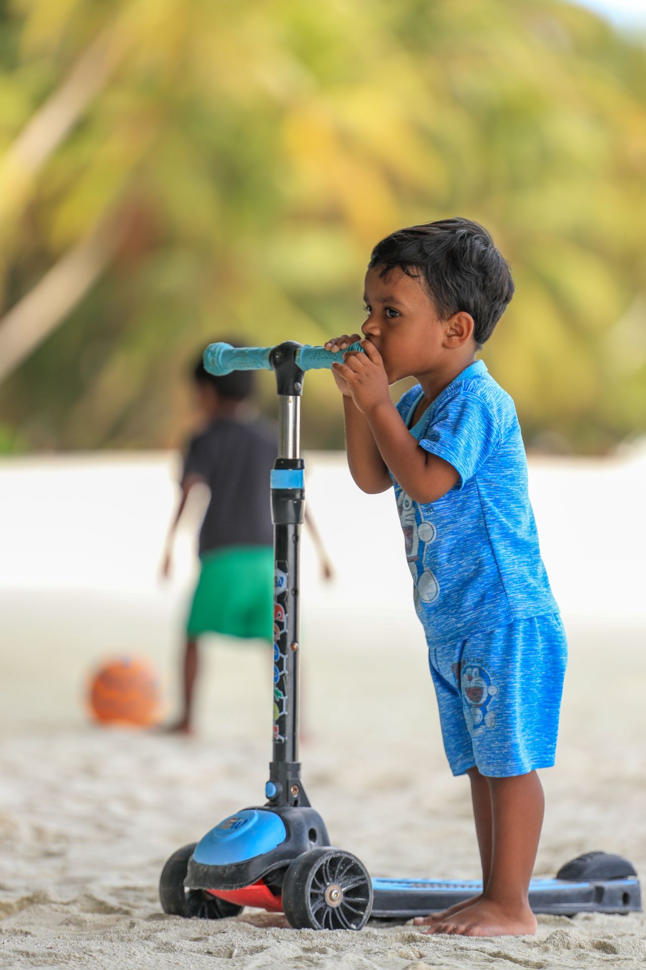 ހިރިލަންދޫގެ ސާދާ ދިރިއުޅުން