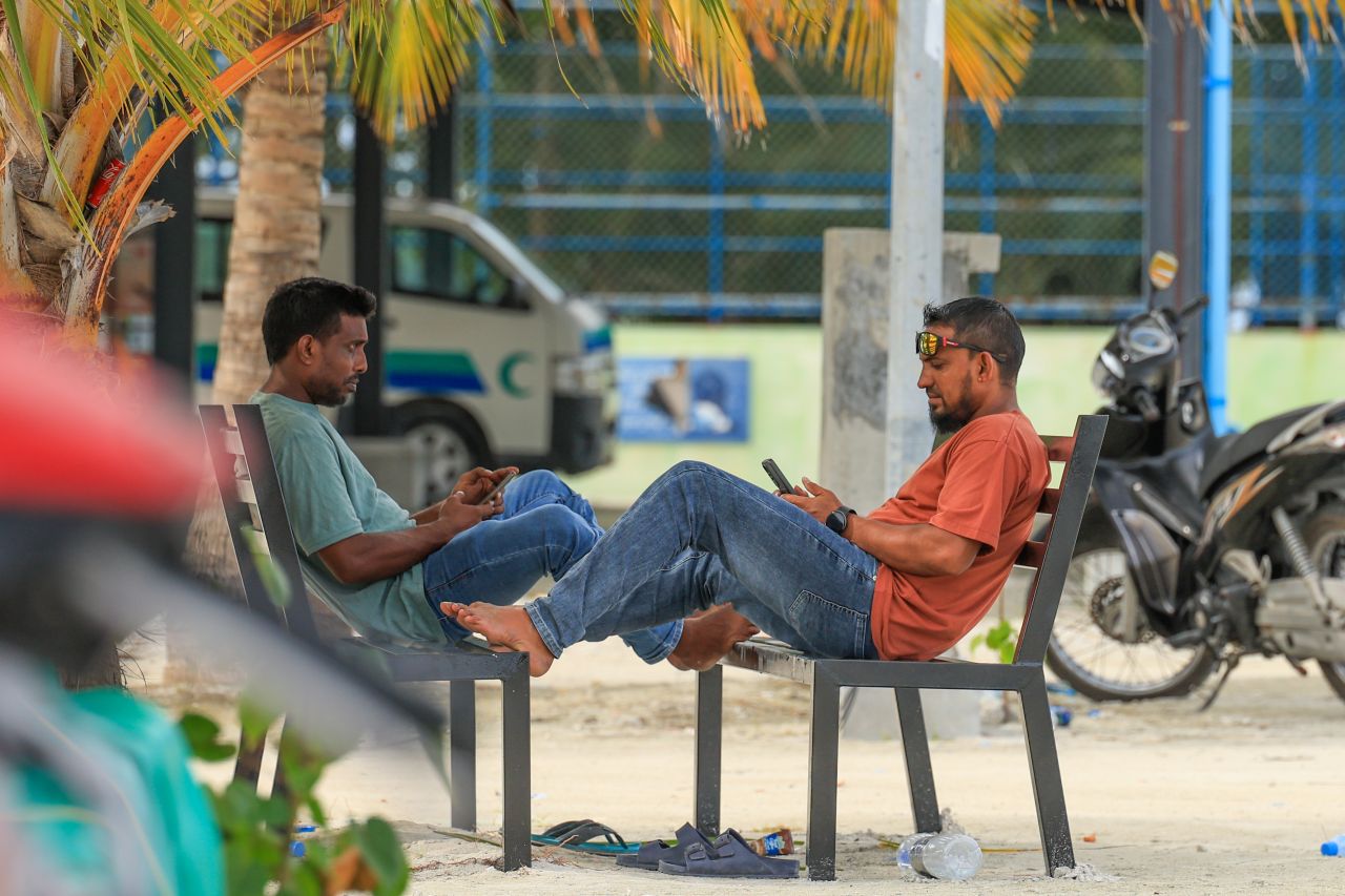 ހިރިލަންދޫގެ ސާދާ ދިރިއުޅުން