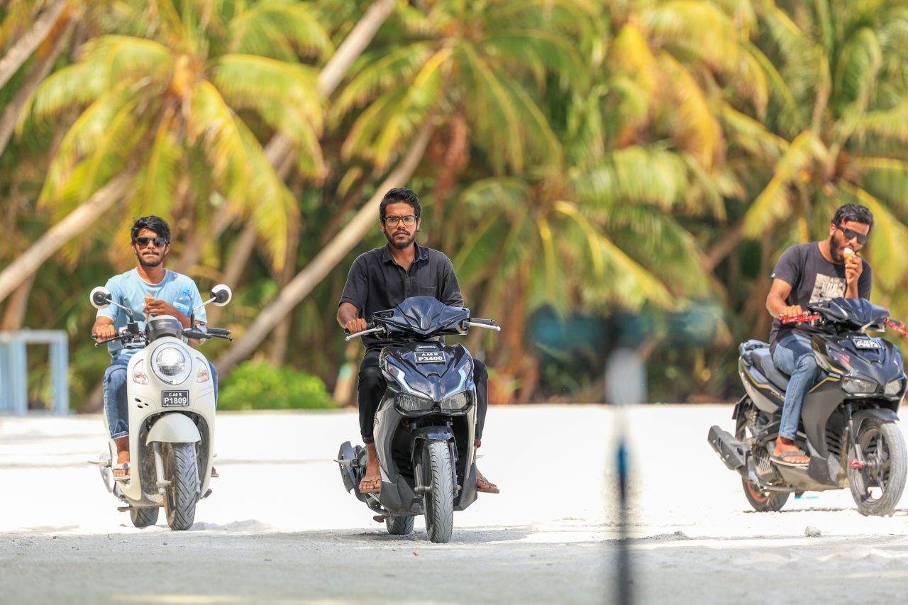 ހިރިލަންދޫގެ ސާދާ ދިރިއުޅުން