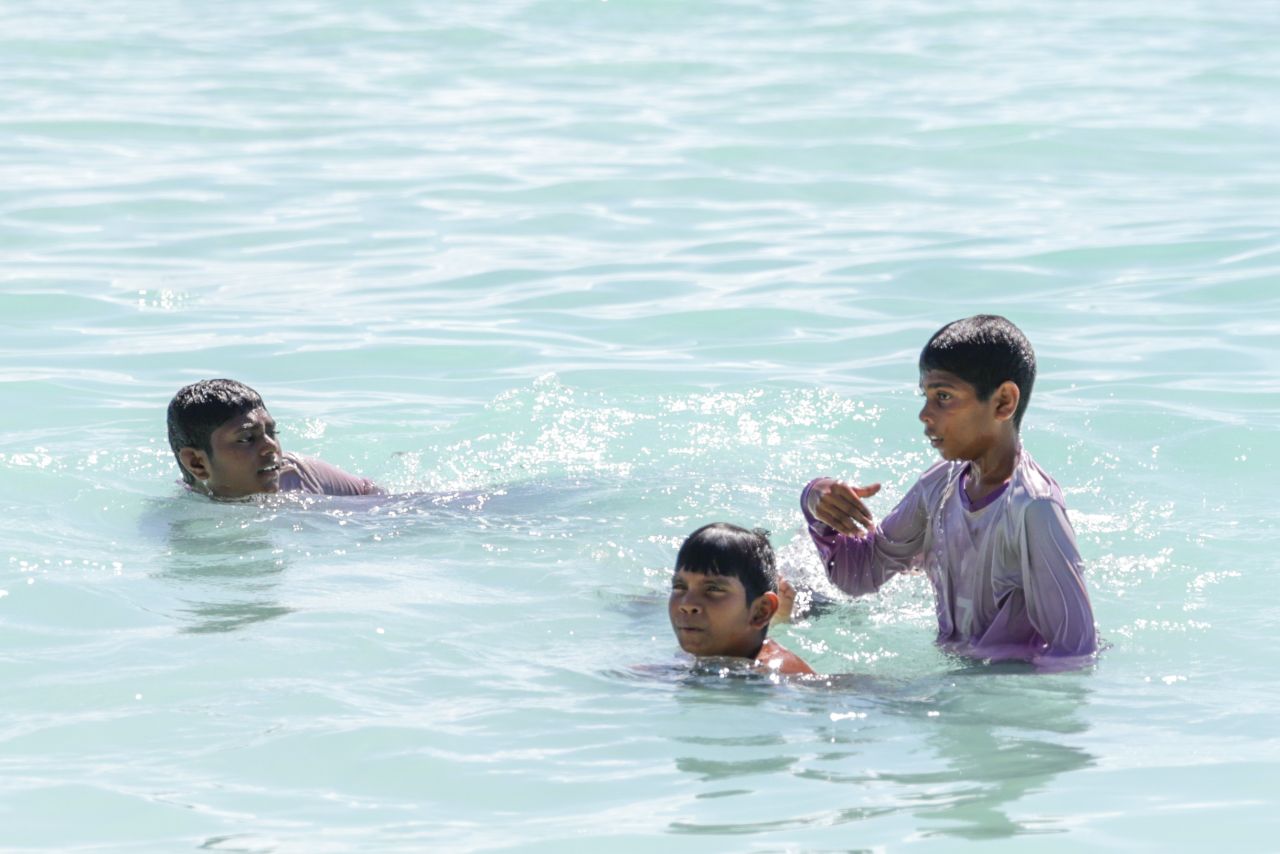 ހިރިލަންދޫގެ ސާދާ ދިރިއުޅުން