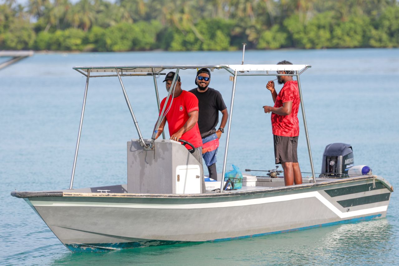 ހިރިލަންދޫގެ ސާދާ ދިރިއުޅުން