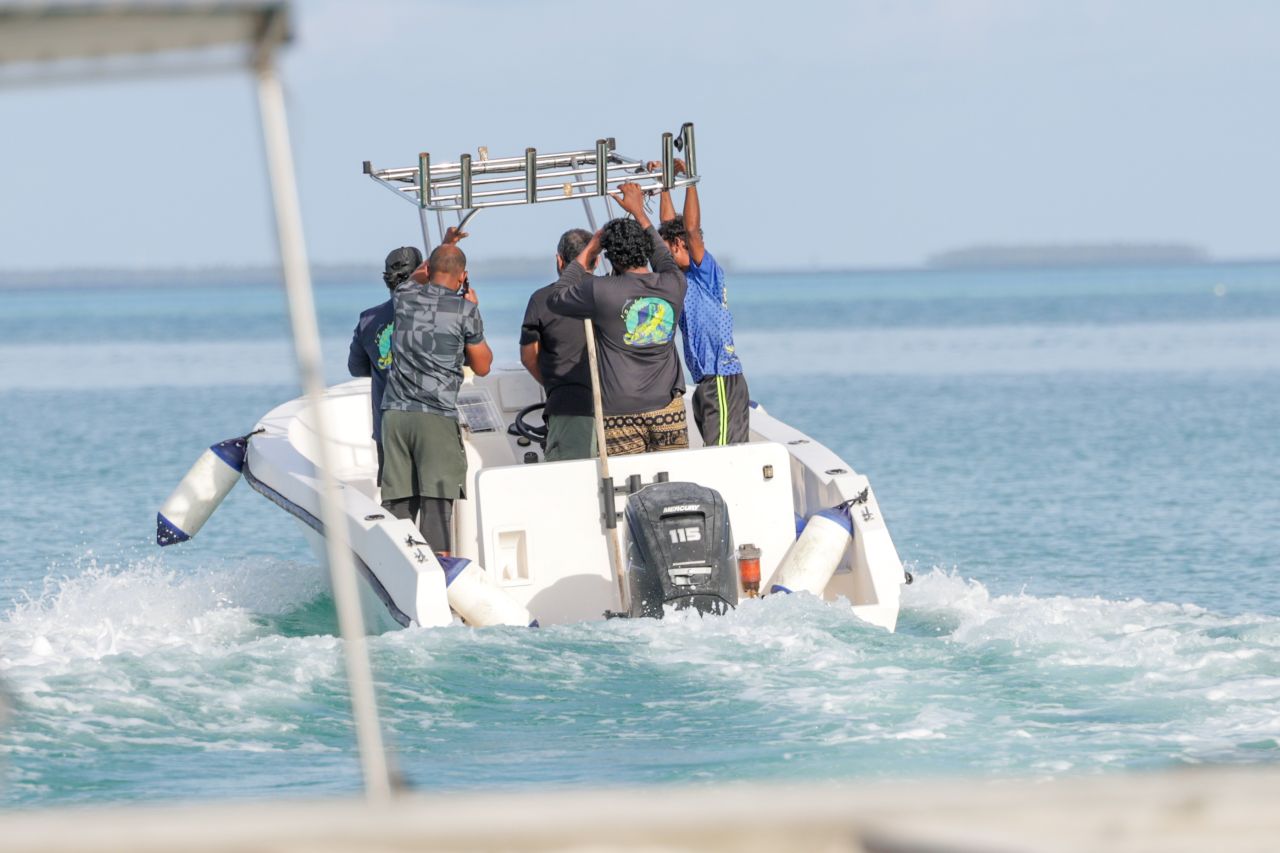 ހިރިލަންދޫގެ ސާދާ ދިރިއުޅުން