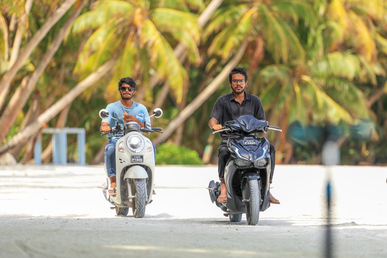 ހިރިލަންދޫގެ ސާދާ ދިރިއުޅުން