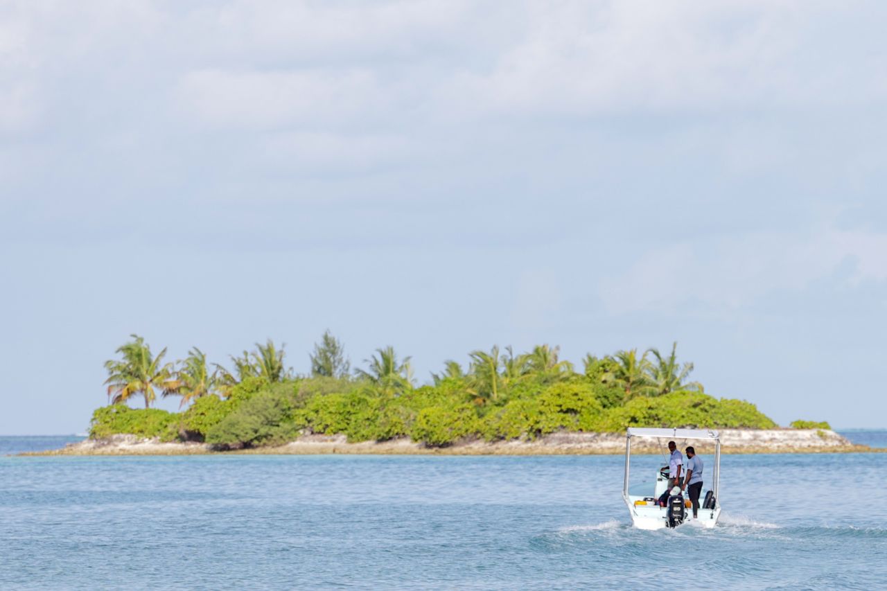 ހިރިލަންދޫގެ ސާދާ ދިރިއުޅުން