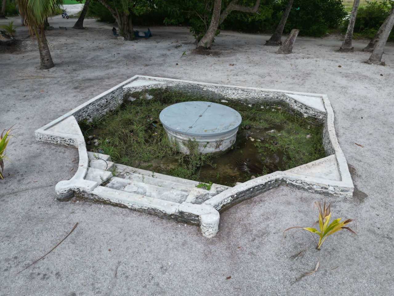 ތ. މަޑިފުށި