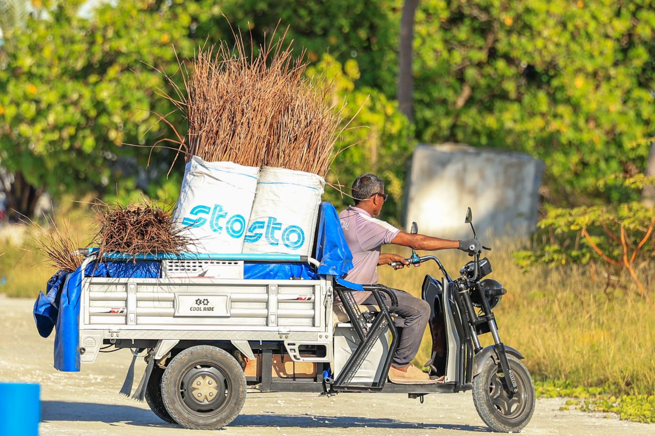 ތ. މަޑިފުށި