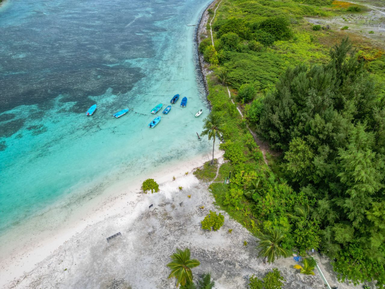 ތ. މަޑިފުށި