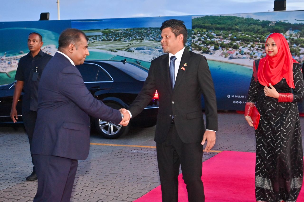 ގައުމީ ދުވަހުގެ ދިދަ ނެގުމުގެ ރަސްމިއްޔާތު