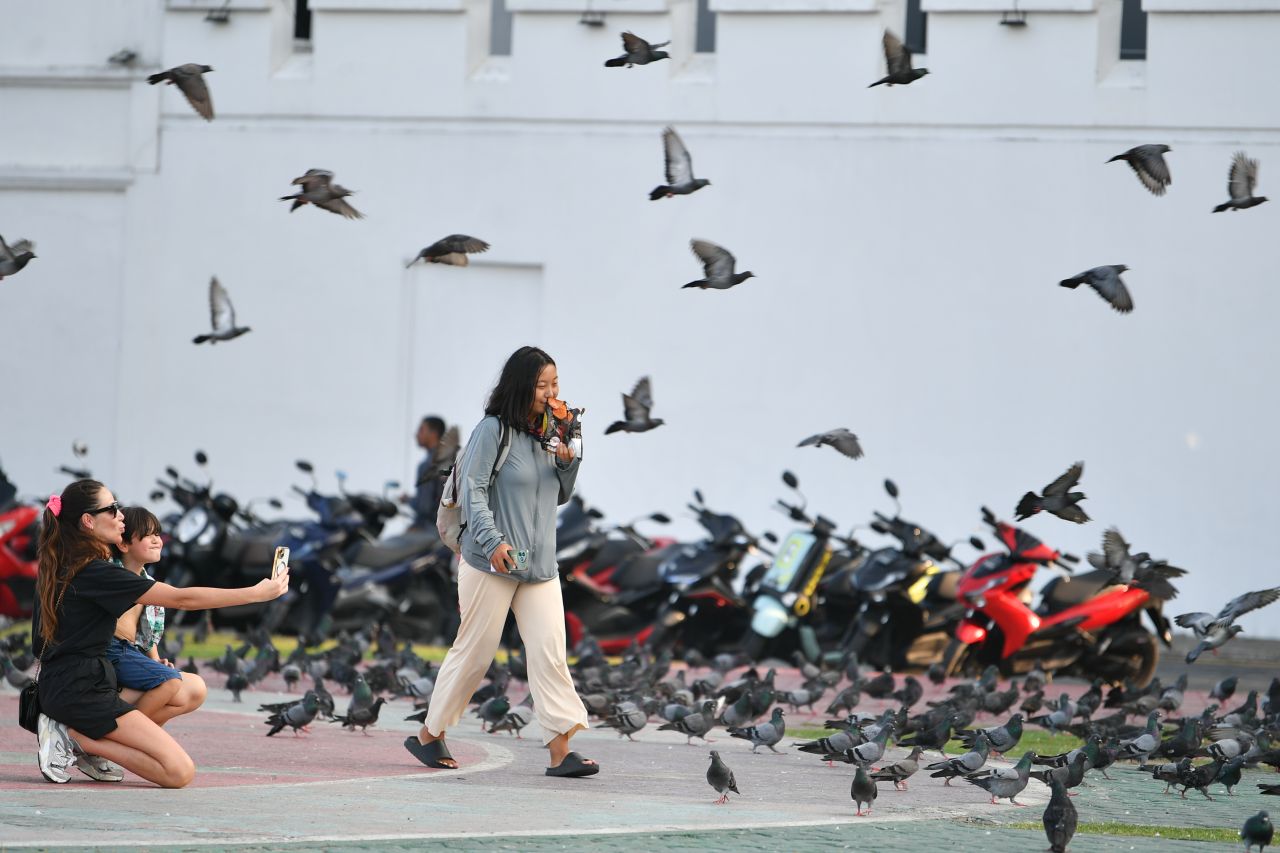 އާއަހަރާއެކު ގިނަ ފަތުރުވެރިން ރާއްޖެއަށް