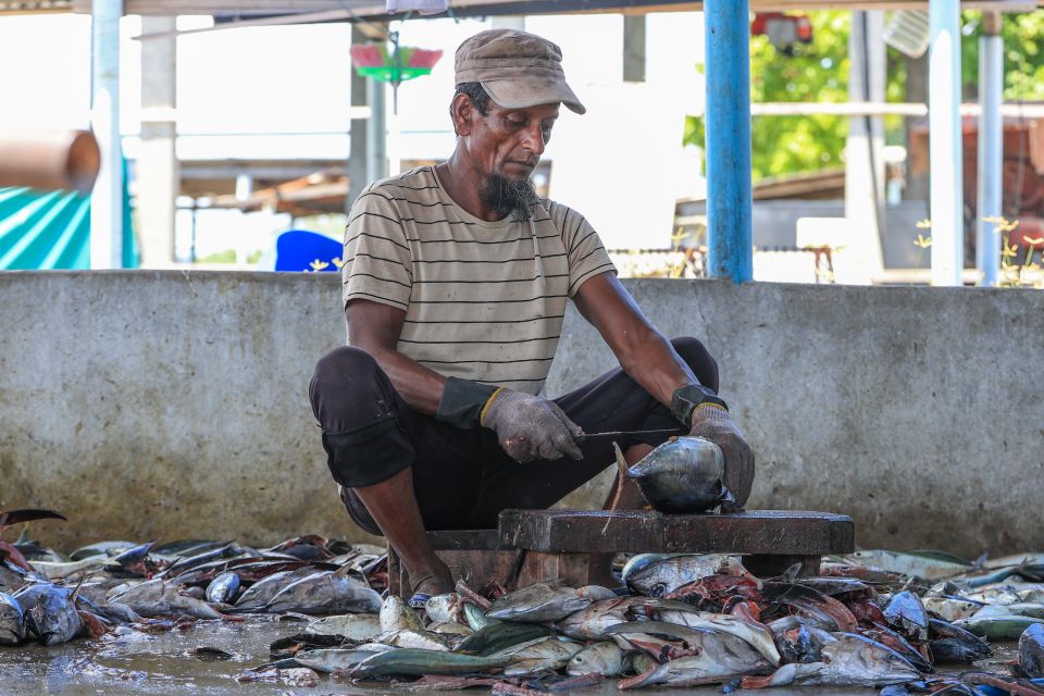February mahu masverikan 75 percent dhashah