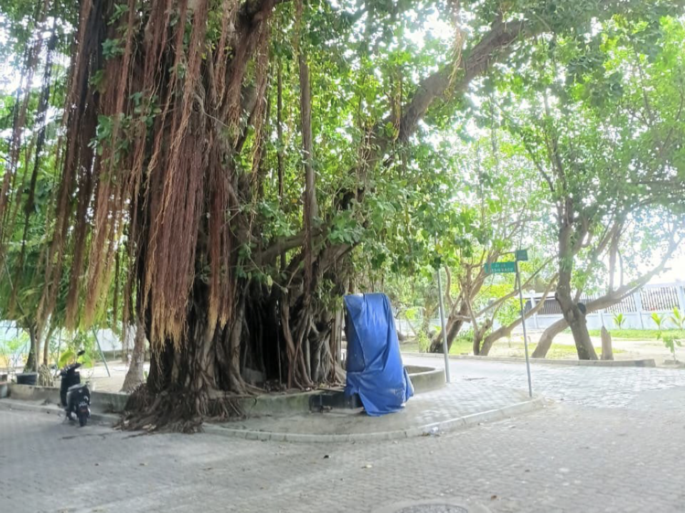 Aadheyhaa eku nasheedh govaalee villimale' ge nikagas thah kandaa nulumah
