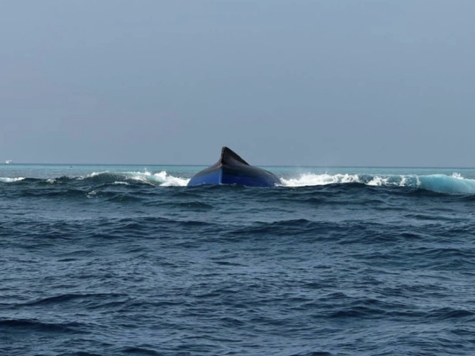 Boat eh bandun jahaali haadhisaa gai gehllunu ekaku maruvefai ohvvaa fenijje 
