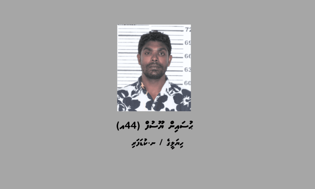 Tiktok gai dheenah furahssaara kuri meehaku hoadhanee